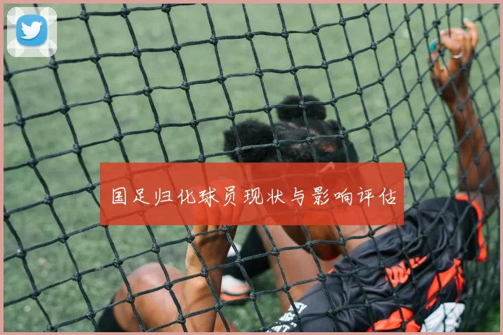 国足归化球员现状与影响评估