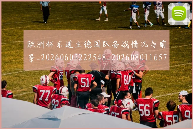 欧洲杯东道主德国队备战情况与前景_20260603222548_20260801165720